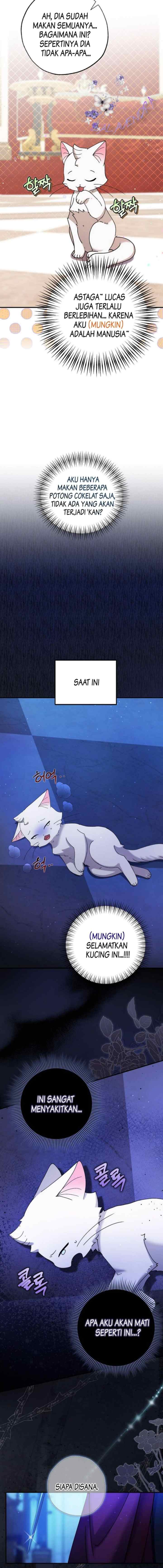 I Became the Emperor's Cat chapter 4 halaman 7