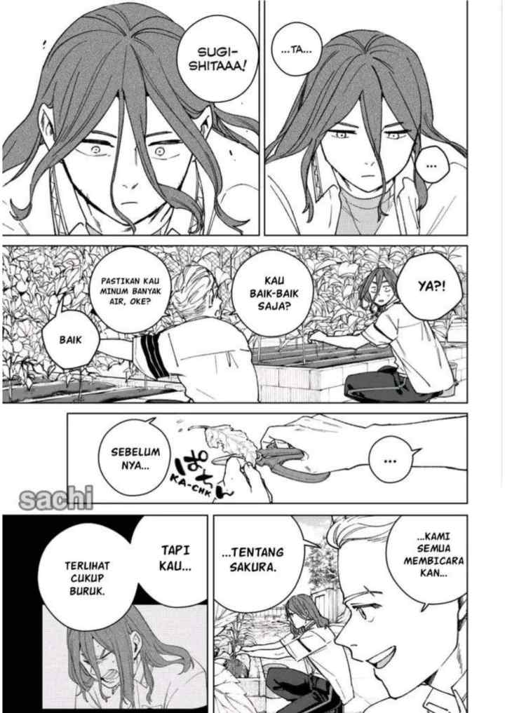 Wind Breaker (NII Satoru) chapter 165 halaman 15