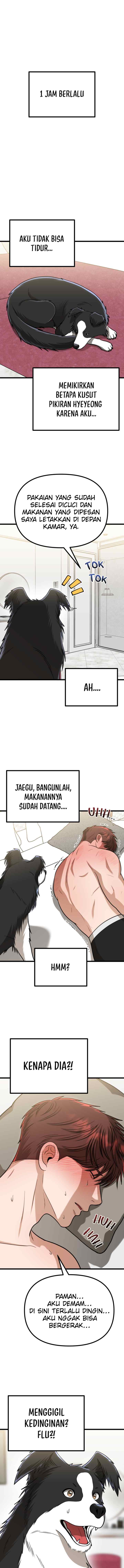Father Like A Dog chapter 35 halaman 17