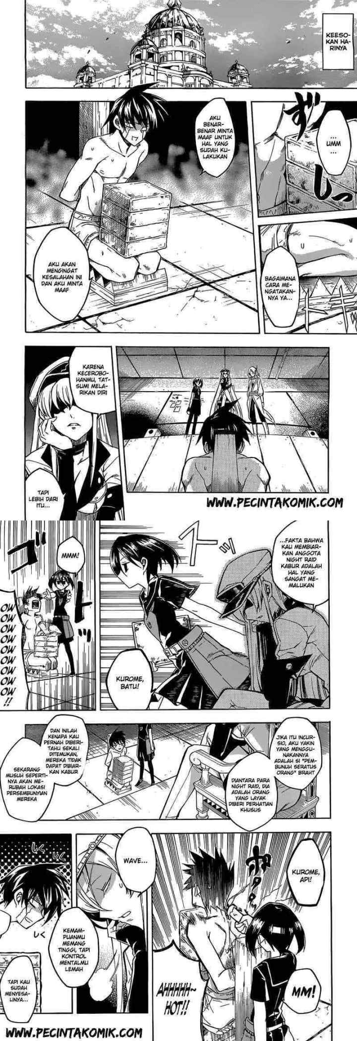 Akame ga Kill! chapter 19 halaman 11