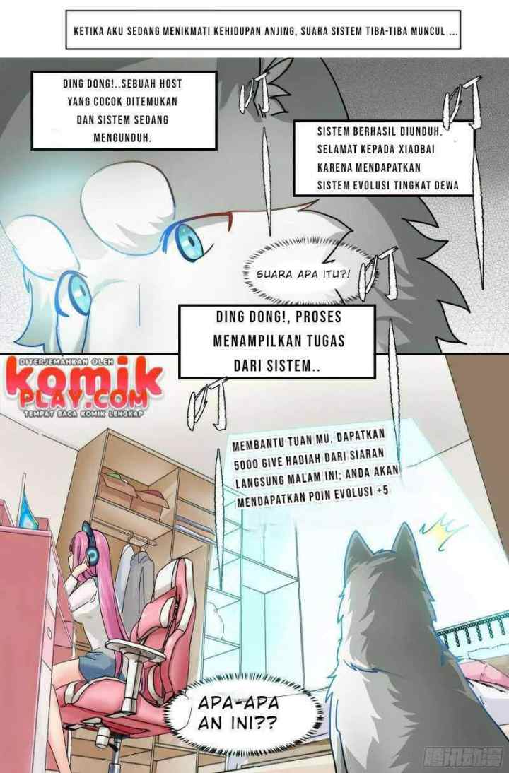 Live Stream: The Husky of the Goddess chapter 0 halaman 6