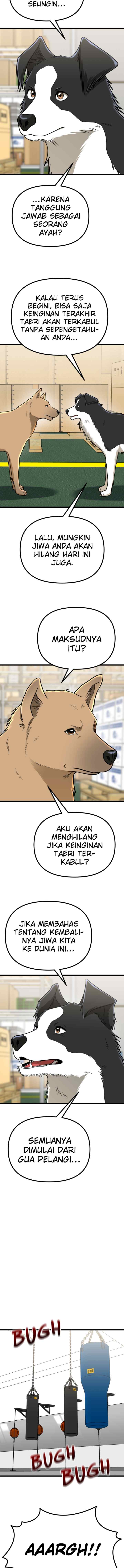 Father Like A Dog chapter 53 halaman 13
