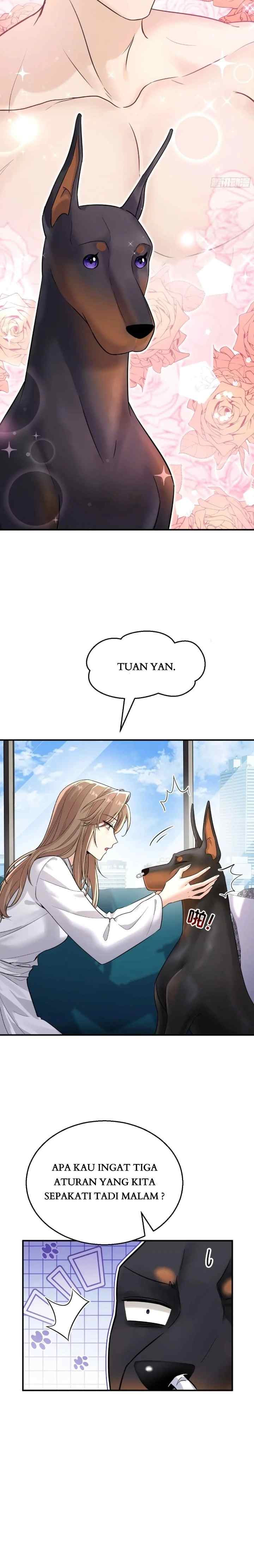 The Man Is A Real Dog chapter 6 halaman 17