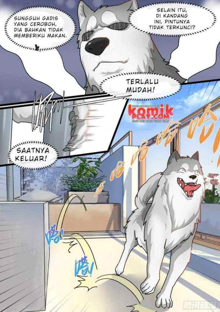 Live Stream: The Husky of the Goddess chapter 1 halaman 9