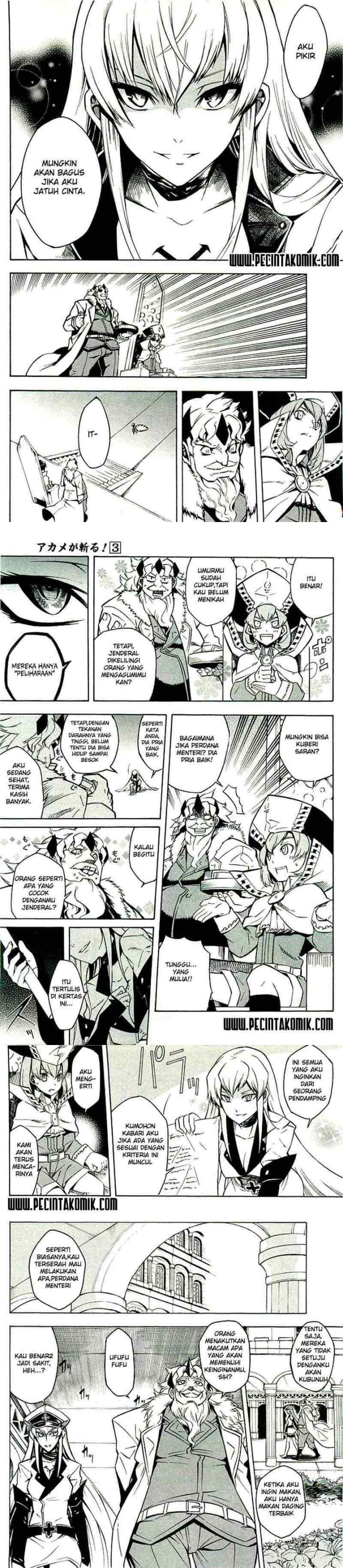 Akame ga Kill! chapter 10 halaman 9