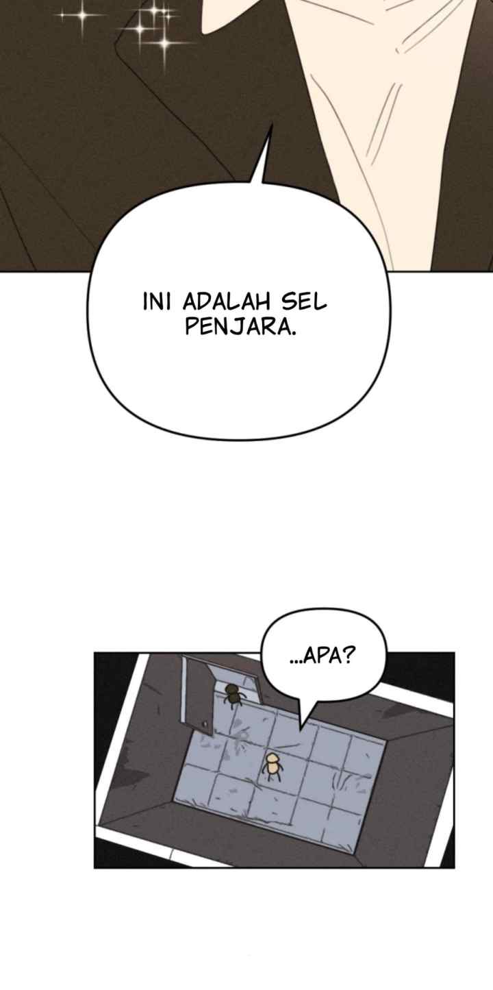 Apathetic Serenade chapter 13 halaman 14