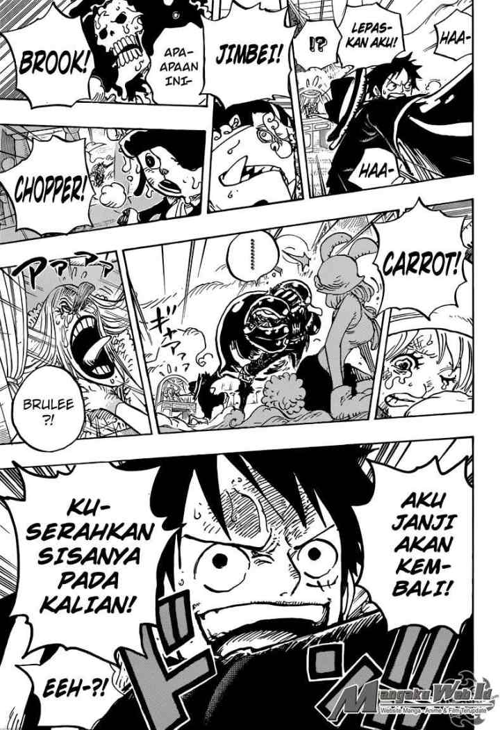 One Piece chapter 878 halaman 16