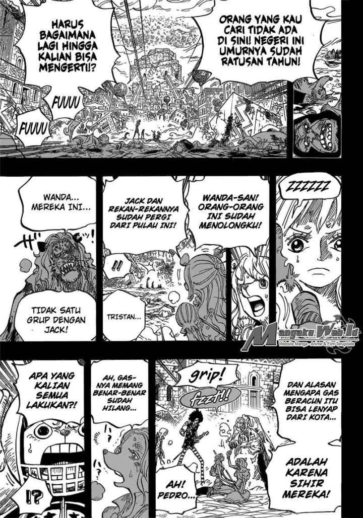 One Piece chapter 811 halaman 13