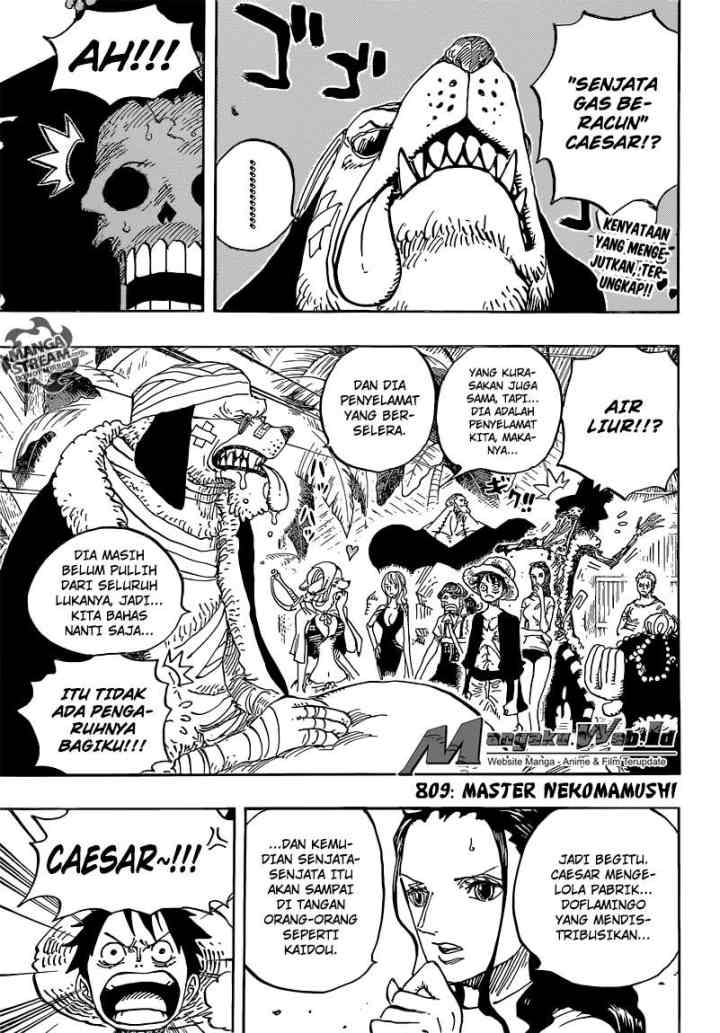 One Piece chapter 809 halaman 5