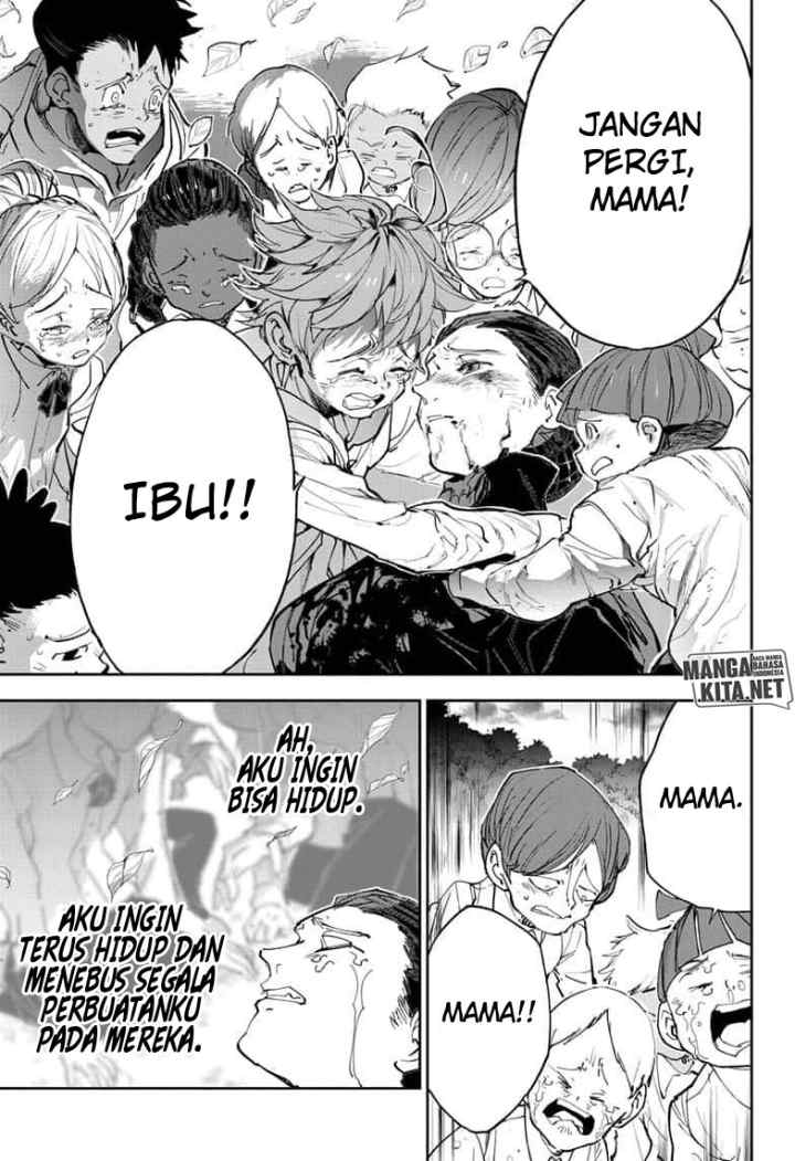 Yakusoku no Neverland chapter 177 halaman 14