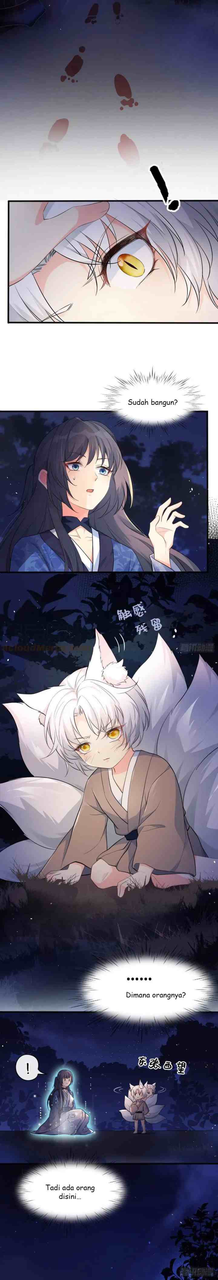 Fairy Fox Cubs Are Also Very Good Today chapter 1 halaman 8