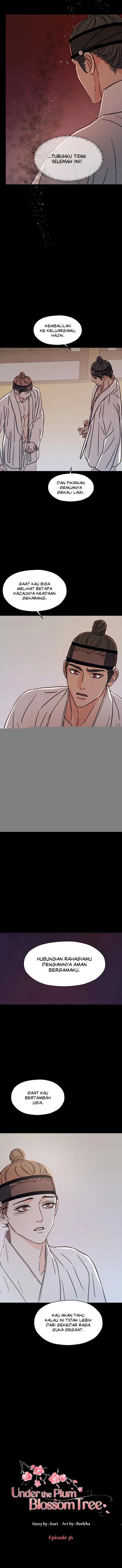 Shade of Plum Blossom chapter 36 halaman 11