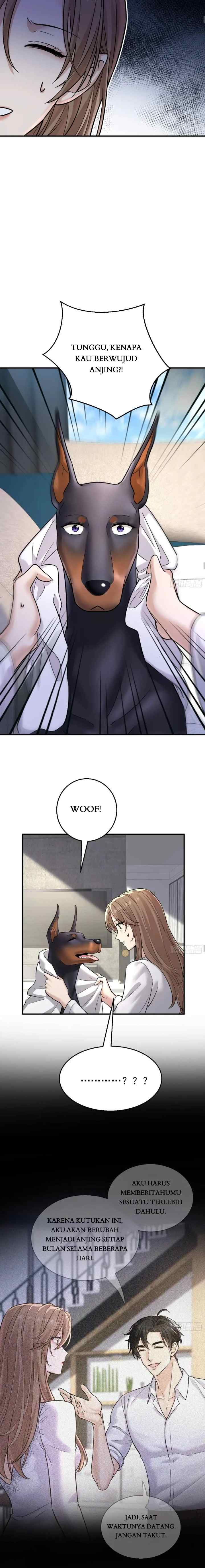 The Man Is A Real Dog chapter 6 halaman 11