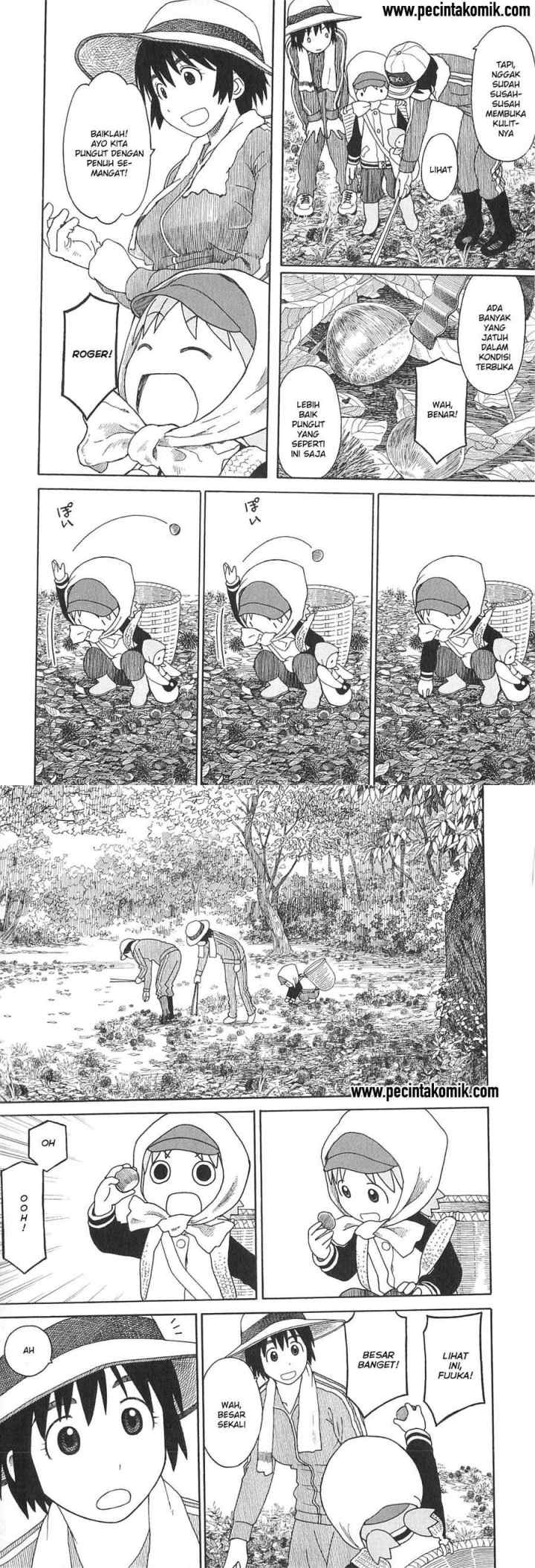 Yotsuba to! chapter 73 halaman 11