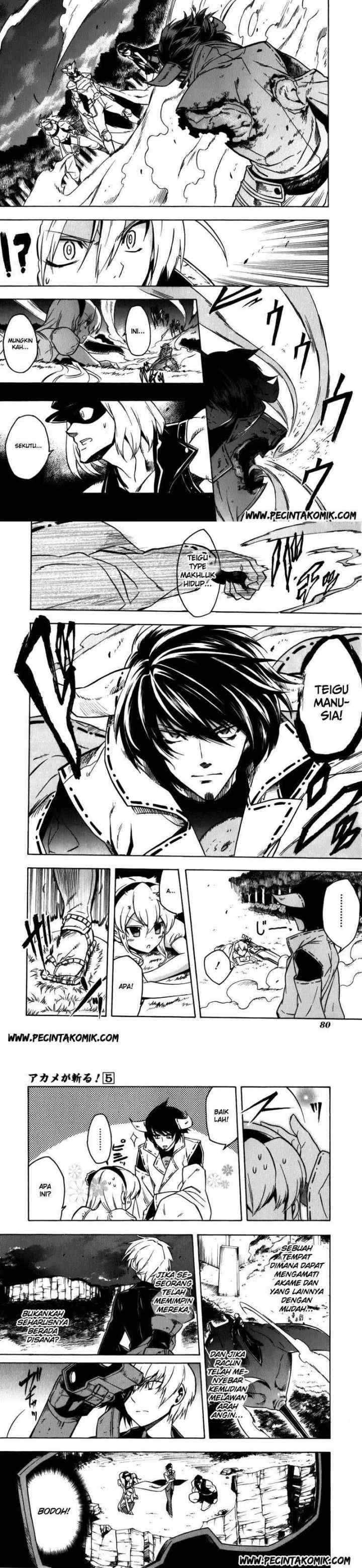 Akame ga Kill! chapter 21 halaman 10