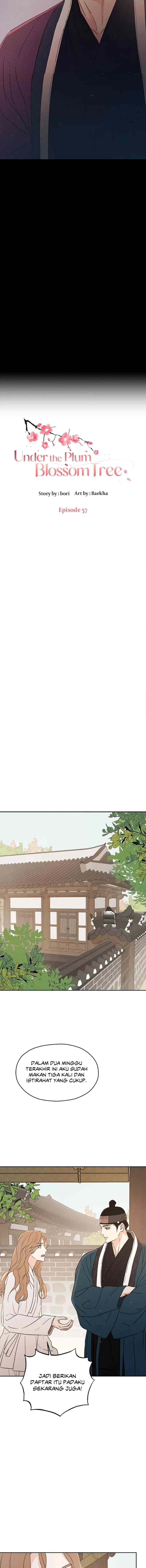 Shade of Plum Blossom chapter 57 halaman 13