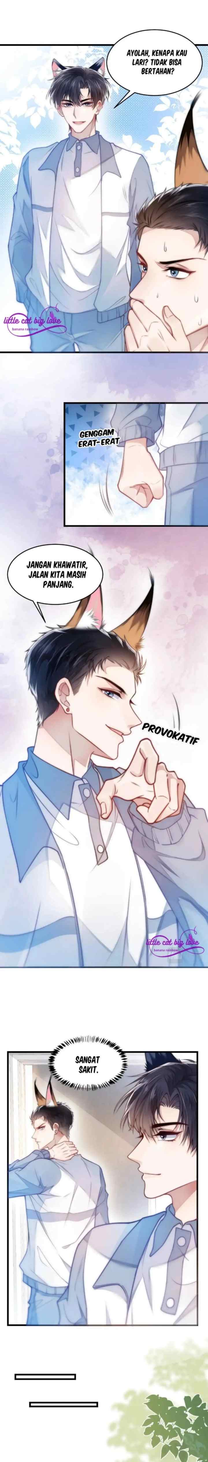 Little Cat Big Love chapter 2 halaman 4