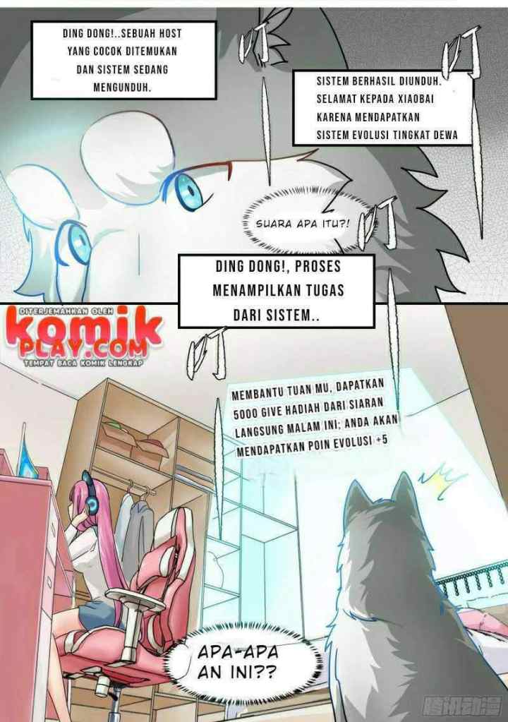 Live Stream: The Husky of the Goddess chapter 1 halaman 19