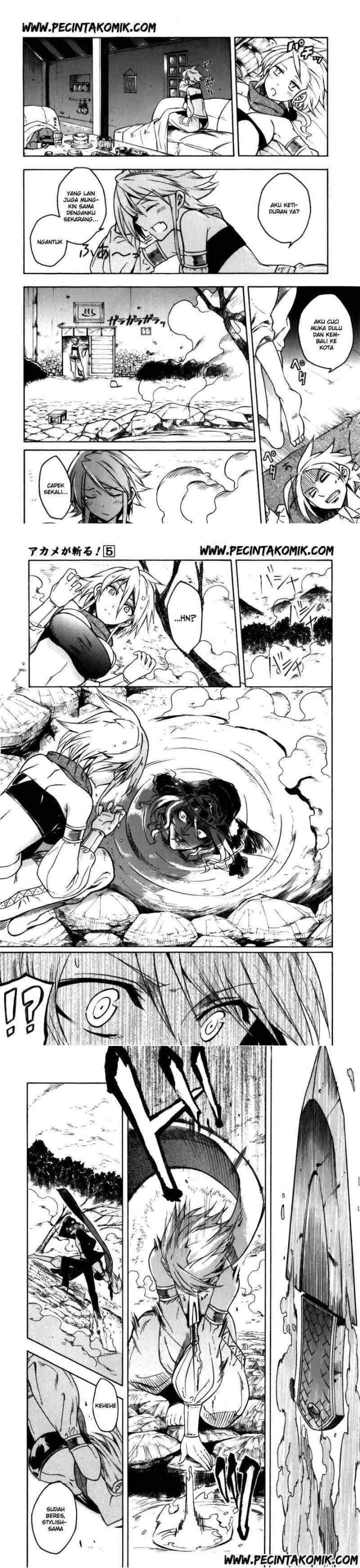 Akame ga Kill! chapter 20 halaman 5