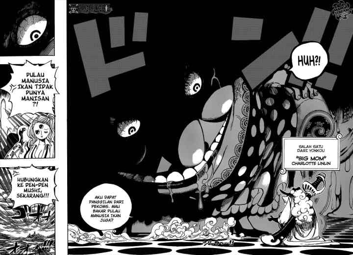 One Piece chapter 651 halaman 12