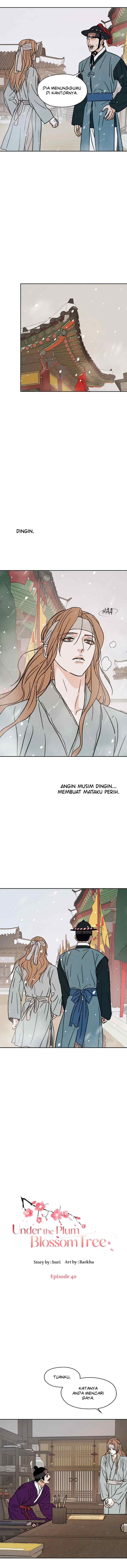 Shade of Plum Blossom chapter 40 halaman 4