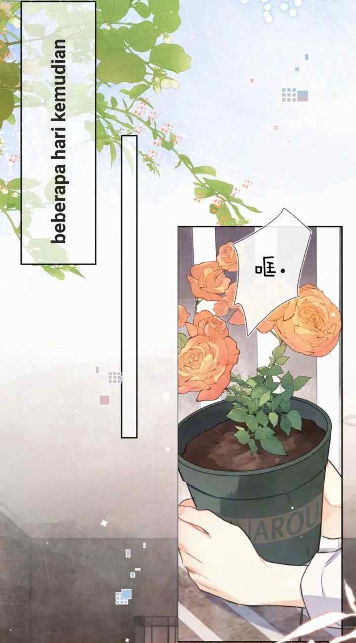Heliotrope & Zjz chapter 50 halaman 5