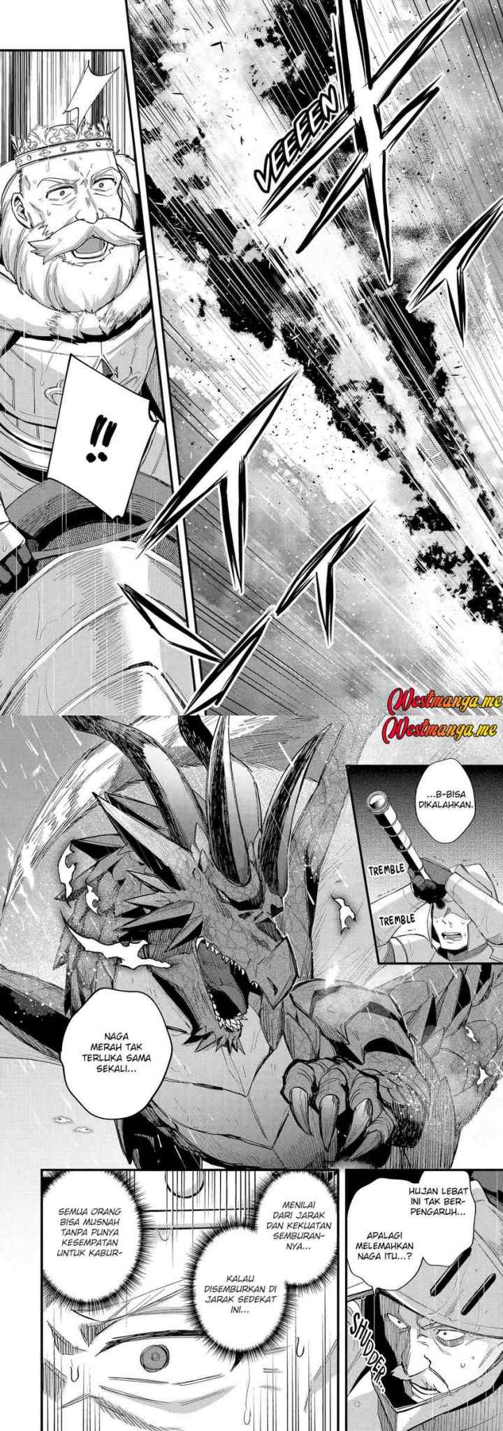 Nido Tensei Shita Shounen wa S Rank Boukensha Toshite Heion ni Sugosu-zense ga kenja de eiyuu datta boku wa raisede wa jimini ikiru chapter 48 halaman 7