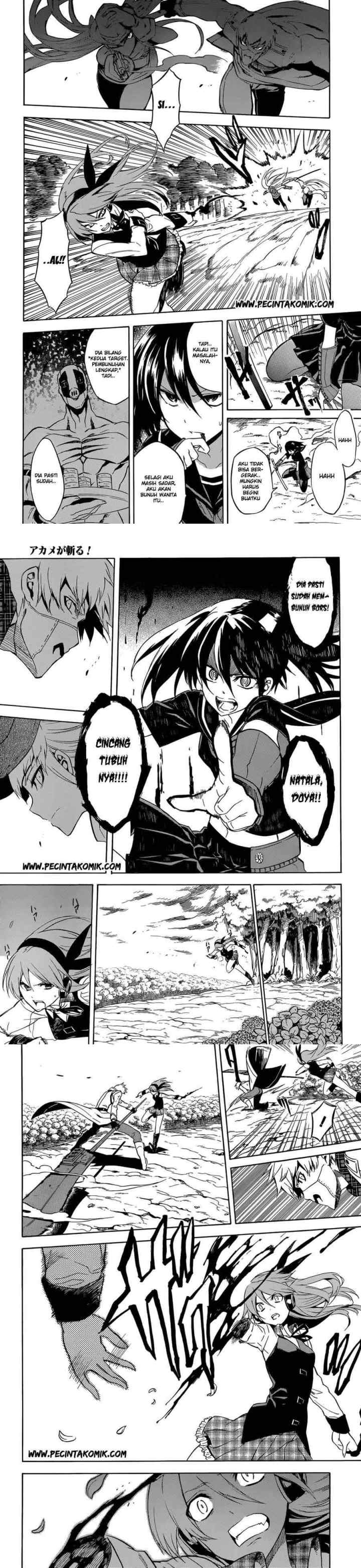 Akame ga Kill! chapter 34 halaman 12