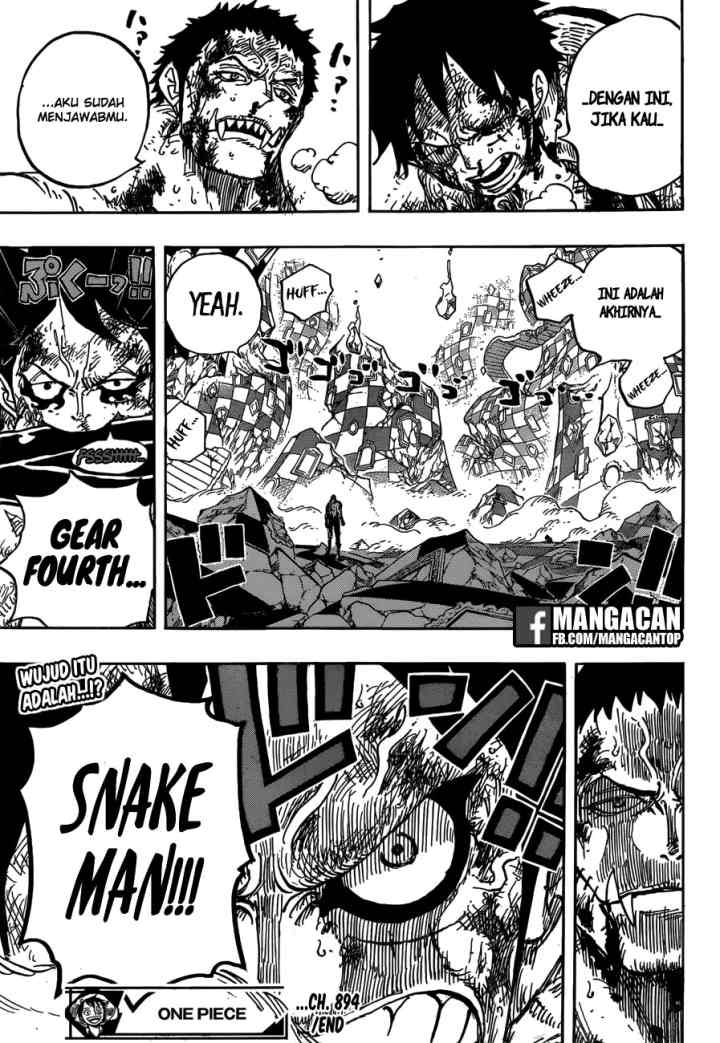 One Piece chapter 894 halaman 17