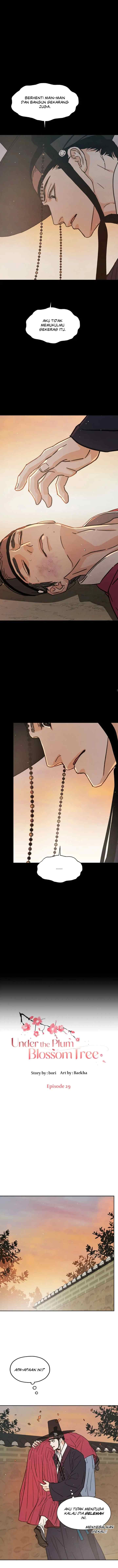 Shade of Plum Blossom chapter 29 halaman 8