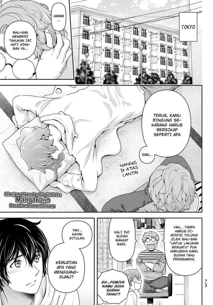 Domestic na Kanojo chapter 244 halaman 8