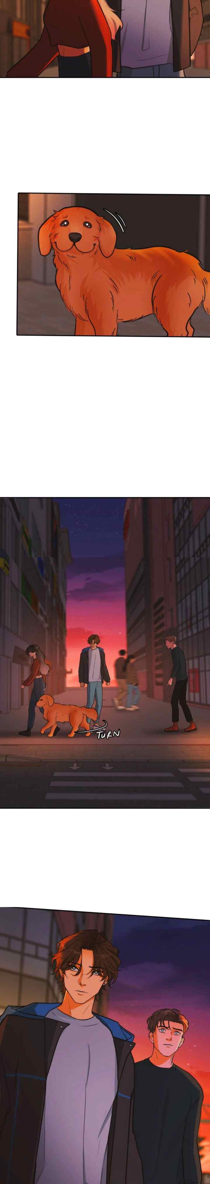 Golden Hour chapter 8 halaman 14