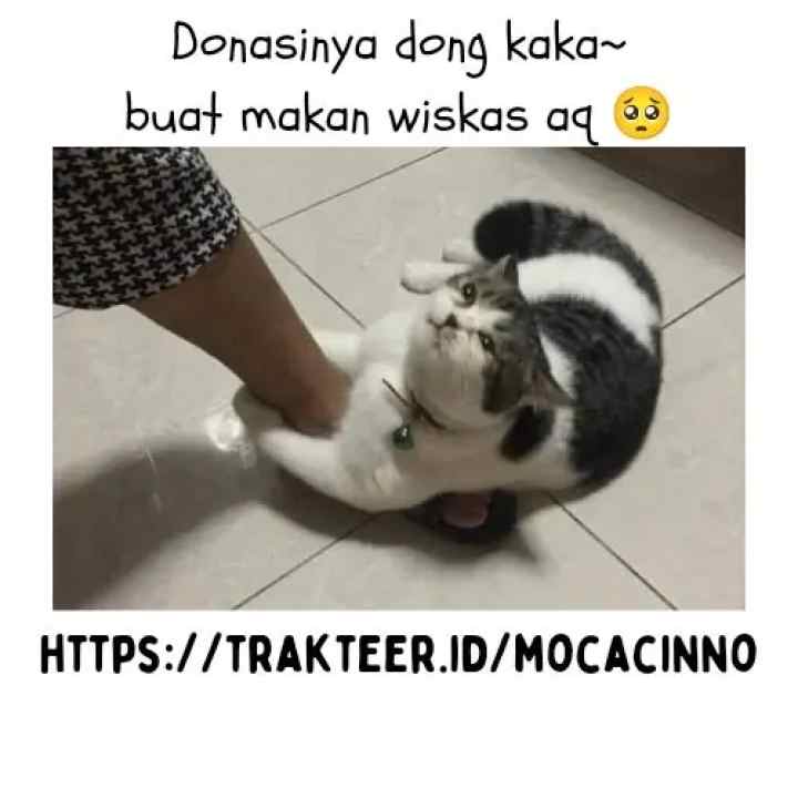 Just Dawn chapter 1 halaman 14