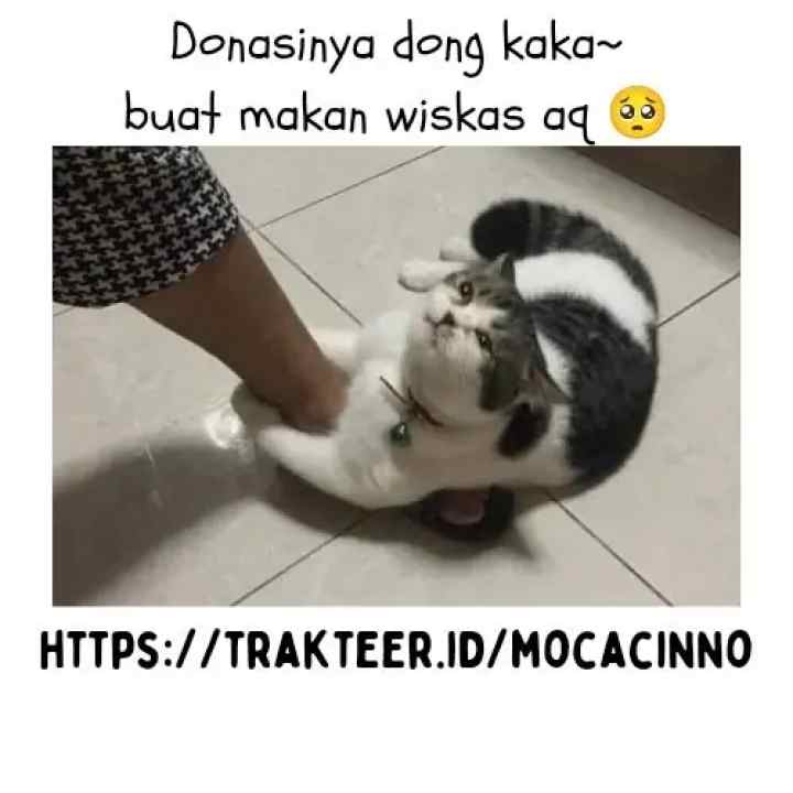 Just Dawn chapter 4 halaman 15