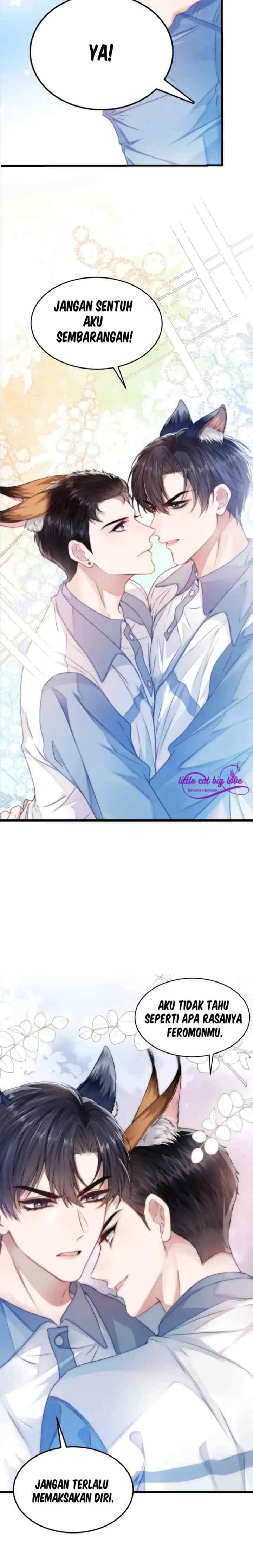 Little Cat Big Love chapter 1 halaman 17