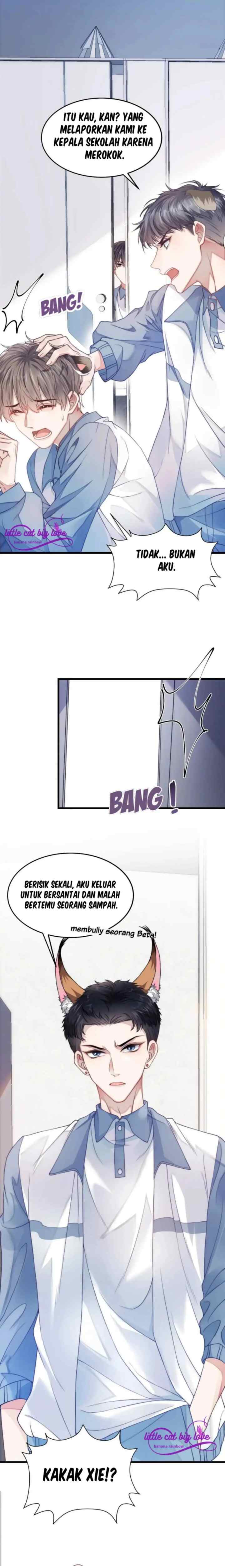 Little Cat Big Love chapter 1 halaman 6