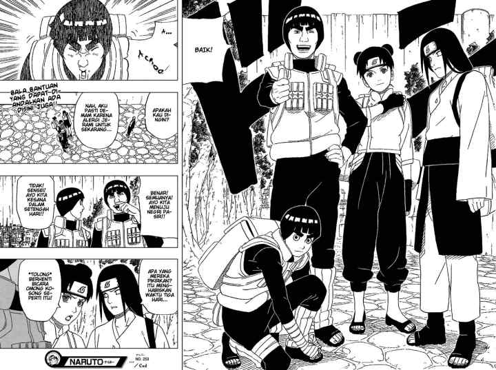 Naruto chapter 253 halaman 19