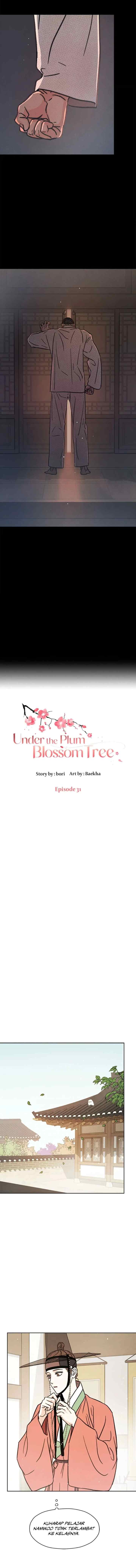 Shade of Plum Blossom chapter 31 halaman 11