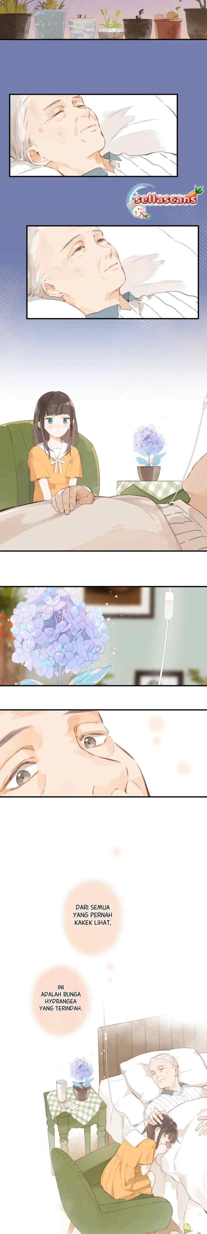 Summer Bloom at the Corner of the Street chapter 46 halaman 13