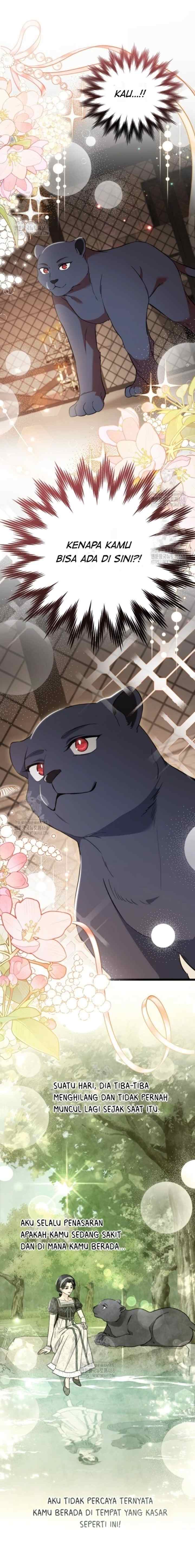 The Symbiotic Relationship Between the Rabbit and the Black Panther chapter 186 halaman 16