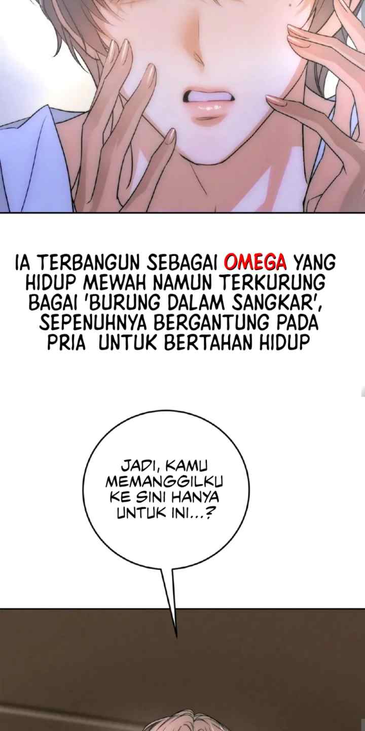 Transmigrating as Mr. Alpha's Golden Goose chapter 0 halaman 4