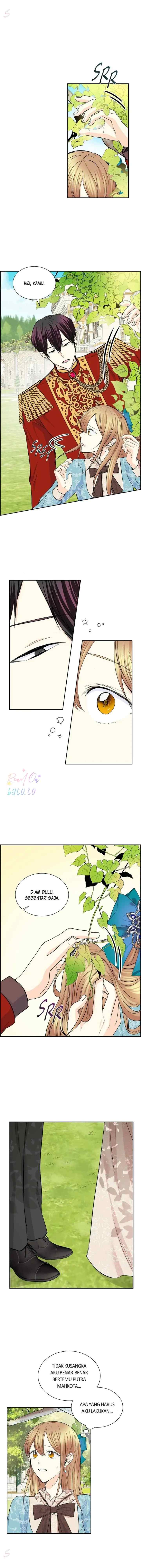 For Stella chapter 38 halaman 5