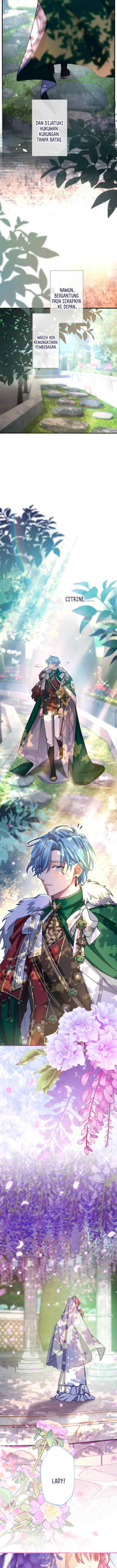 I Still Don't Know About My Favourite Character's Unwavering Obsession chapter 61 halaman 16