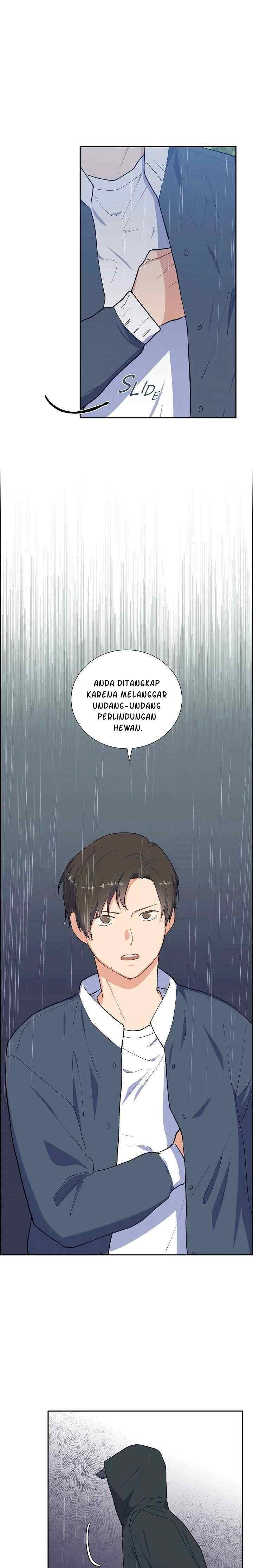 Lovers, Cats and The Killer chapter 11 halaman 15