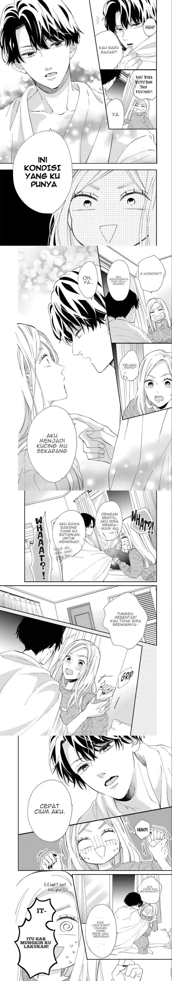 Neko to Kiss chapter 1 halaman 12