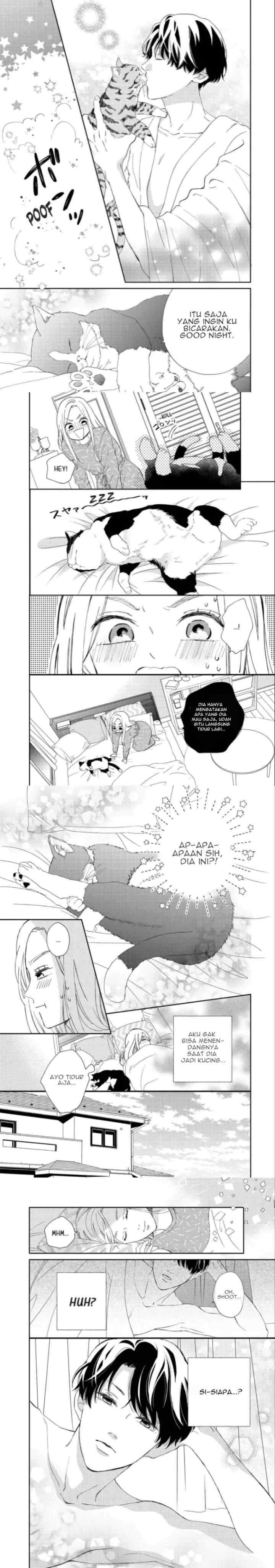 Neko to Kiss chapter 1 halaman 14