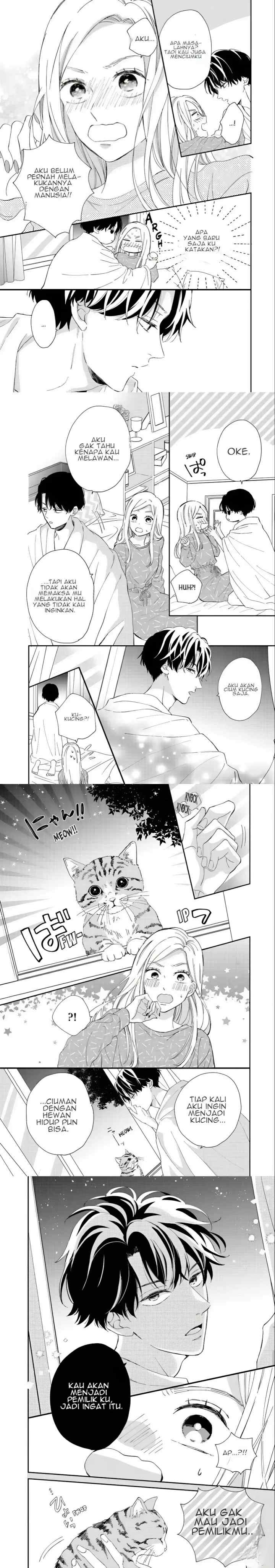 Neko to Kiss chapter 1 halaman 13