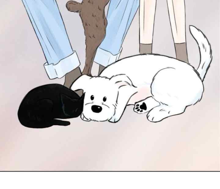 Romance Canino chapter 13 halaman 19
