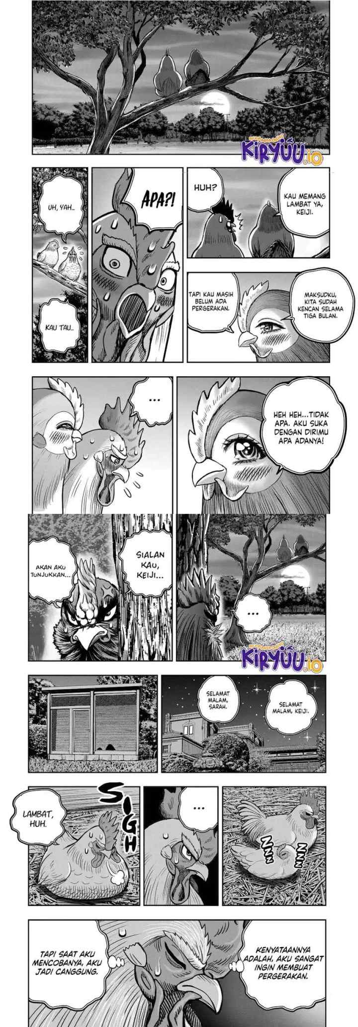 Rooster Fighter chapter 36.5 halaman 6