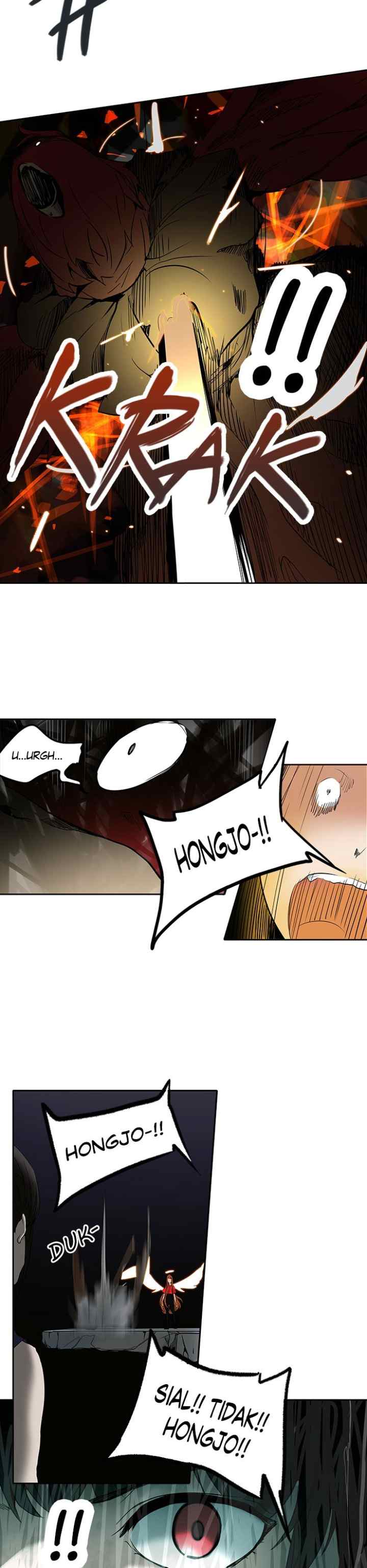 Tower of God chapter 255 halaman 14